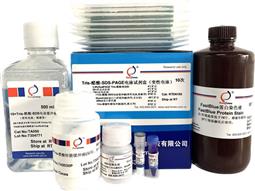 Tris-醋酸-SDS-PAGE電泳試劑盒（變性電泳，含預(yù)制膠）