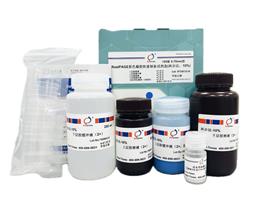 RealPAGE 彩色PAGE凝膠快速制備試劑盒（一步法）6%