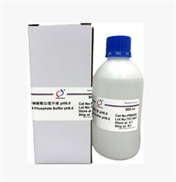 0.1M 磷酸鹽緩沖液 pH6.0