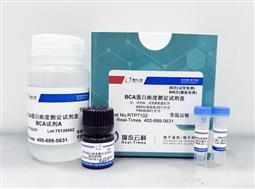 BCA蛋白濃度測定試劑盒